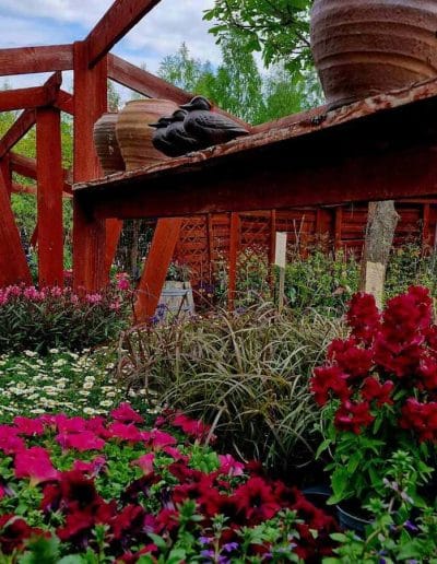 Handelsträdgården | Bäsna Trädgård
