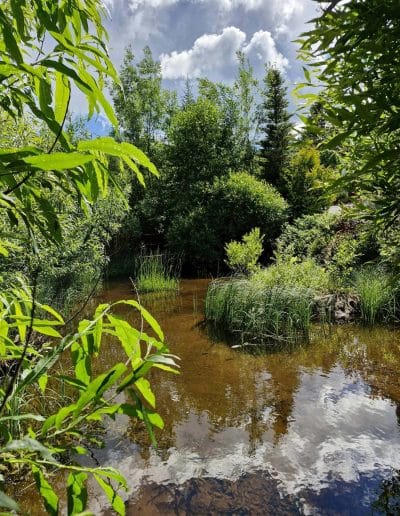 Visningsträdgården Bäsna Trädgård
